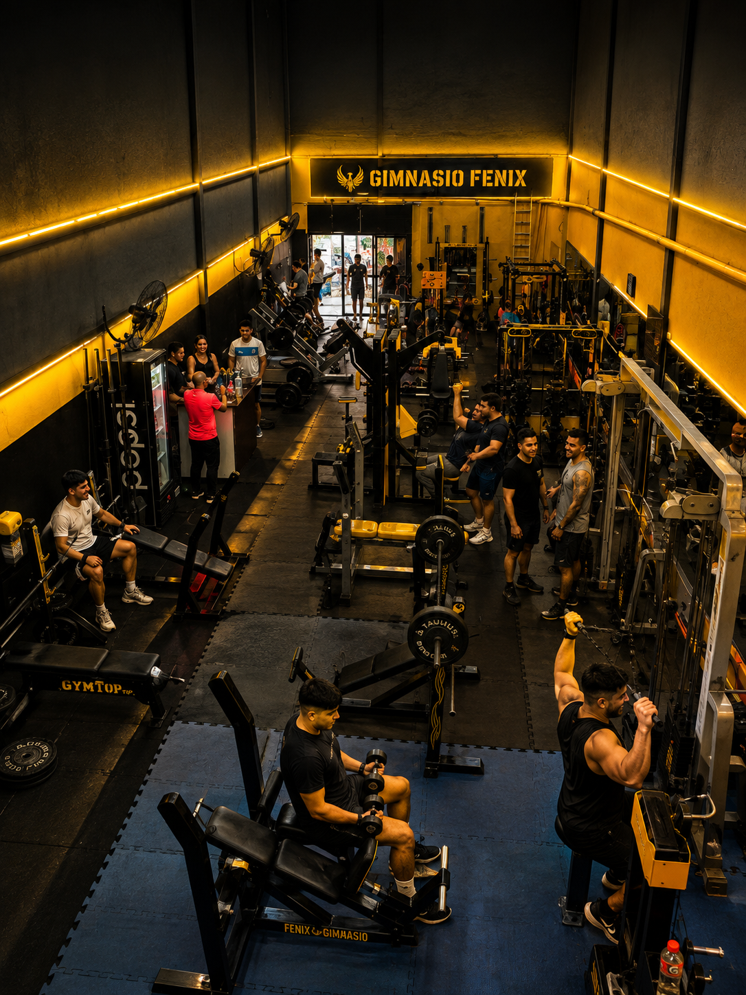 Gimnasio Fénix